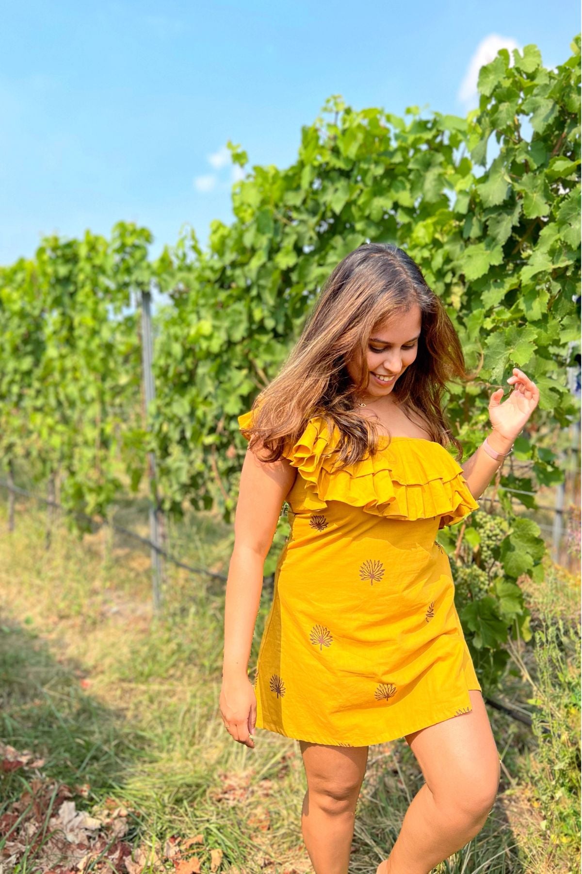 Mimosa