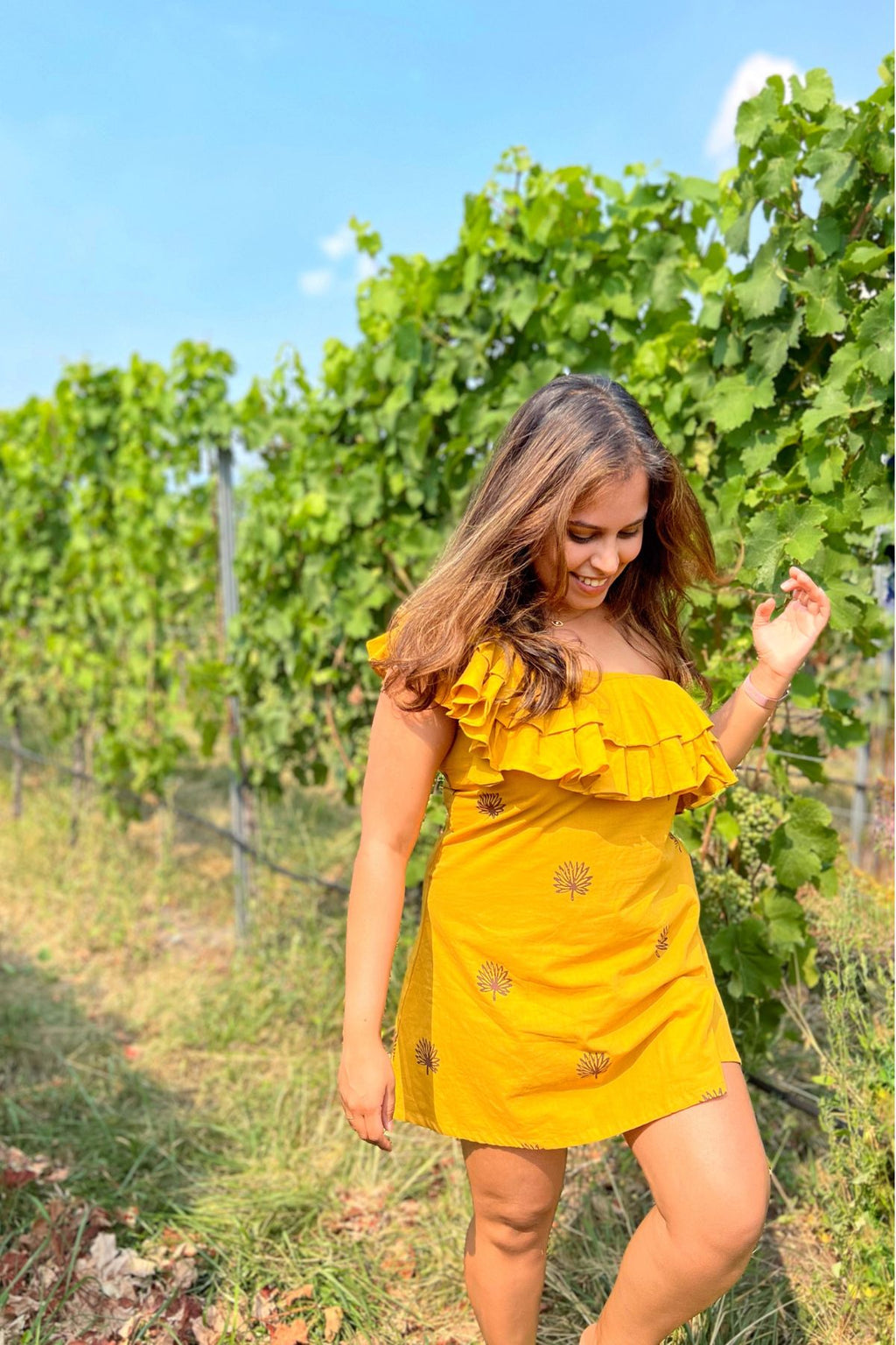 Mimosa